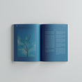 Load image into Gallery viewer, The Message | Madani Edition