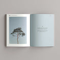Load image into Gallery viewer, Profound Bundle | 20% OFF