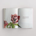 Load image into Gallery viewer, Surah Yusuf | The Story of Joseph (Pre-order Jan 2026)
