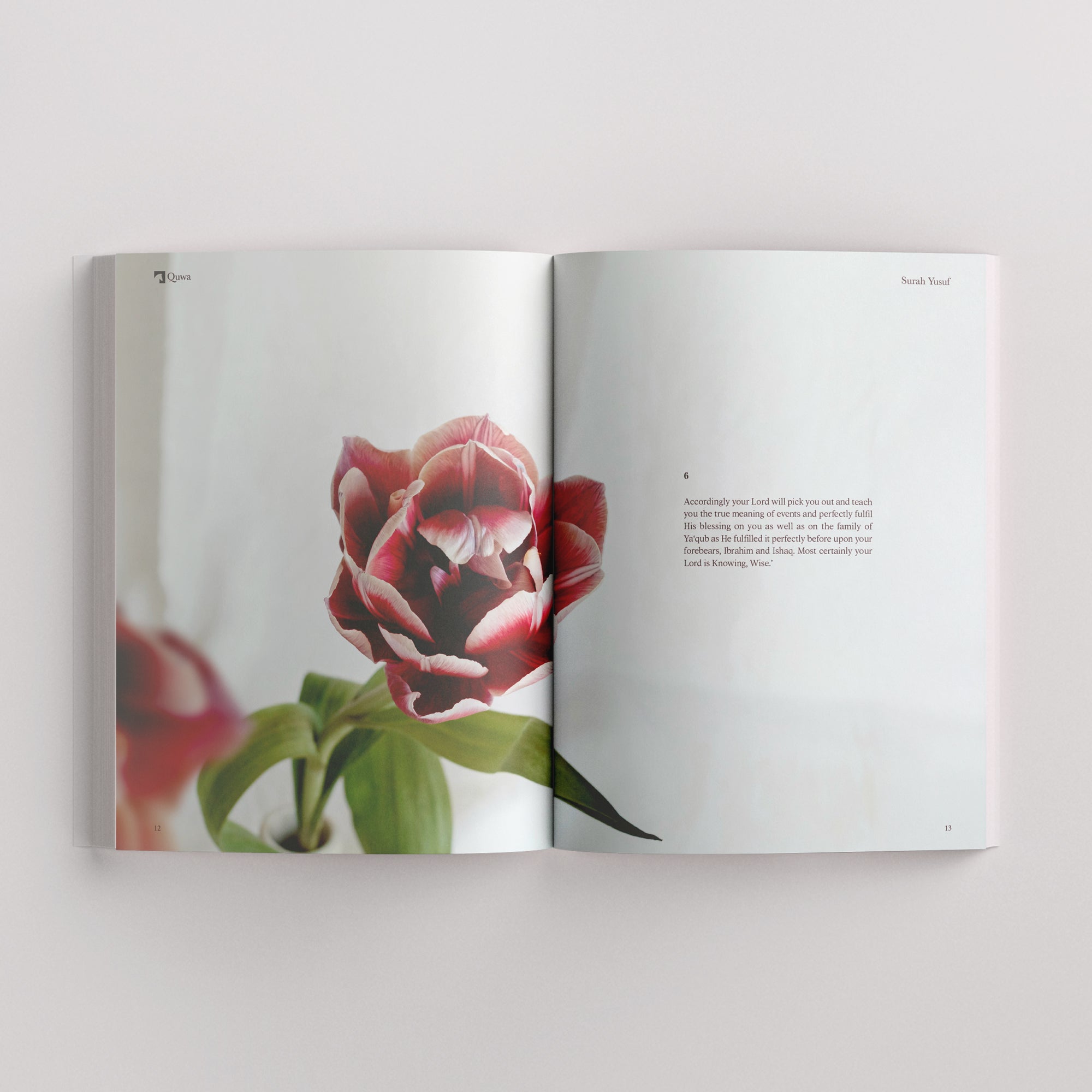 Surah Yusuf | The Story of Joseph (Pre-order Jan 2026)