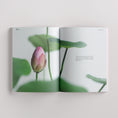 Load image into Gallery viewer, Surah Yusuf | The Story of Joseph (Pre-order Jan 2026)
